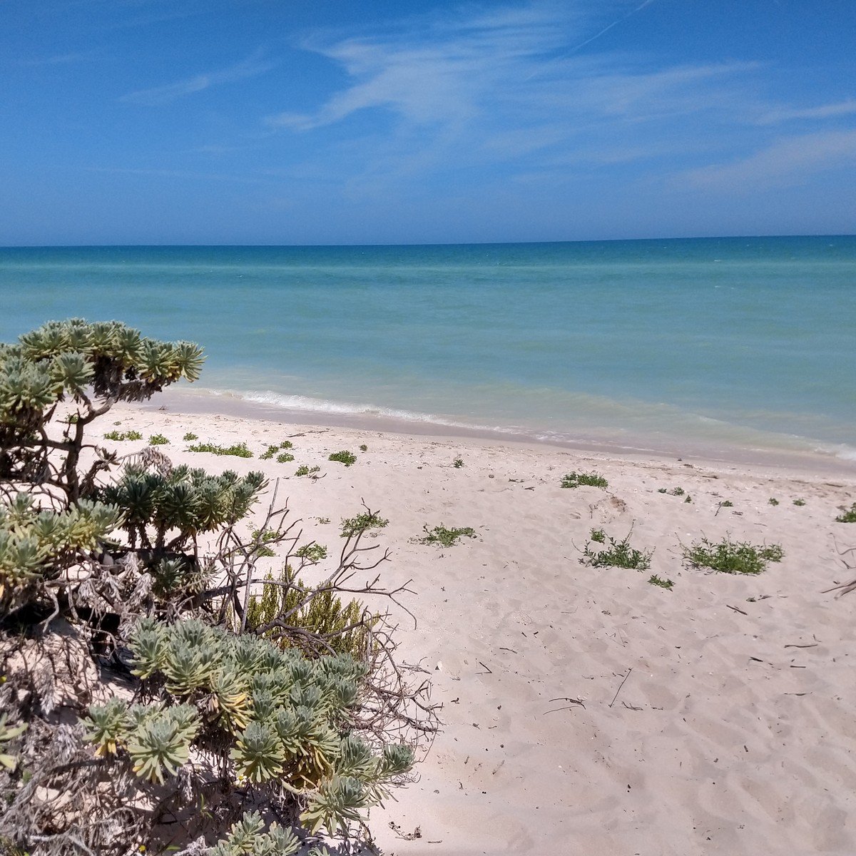 ¿Por qué invertir en la playa de Sisal Yucatán, México?